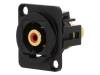 CP30230MB Соединитель; гнездо RCA, с обеих сторон; Корп: стандарт XLR