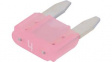 0297004.WXNV Fuse 4 A 32 V Pink