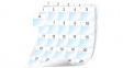 1908556 XTL Laminated Label Sheets White