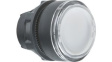 ZB5AA18 Illuminated Pushbutton Head