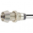 338821010W55NCL1 LED Indicator white 5...28 VDC