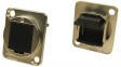 CP30241M Blanking plate with countersunk holes