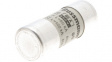 C22G40 Fuse22 x 58 mm,690 VAC,40 A 40 A fast-blow Bussmann