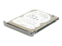 DELL-320S/7-NB33, Harddisk SATA 3 Gb/s 320 GB 7200RPM, -