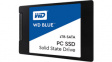 WTHS100T1B0A SSD 2.5