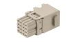 09149162101 Domino Module, F.2, 16 Poles, Crimp, Socket / Socket