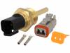 TF35-B-6-50 Датчик: температуры; Pt1000; кл.B; Эл.подкл: DT04-2P; -50?150°C