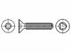 3060661 Винт; 3x10; Головка: потайная; Torx; сталь; цинк; Размер: TX10