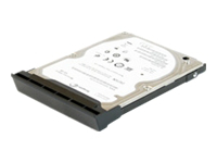 DELL-320S/5-NB50, Harddisk 2.5" SATA 3 Gb/s 320 GB 5400RPM, -