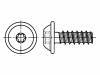 3187113 Винт; 2,2x10; Головка: сферическая; Torx; сталь; цинк; Размер: TX06
