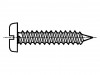 1372688 Винт; 4,8x16; Головка: цилиндрическая; прямой; сталь; цинк; BN: 941