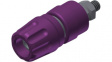 PKI 10 A violet Binding post diam. 4 mm Violet