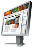 S2100 grey, FlexScan High End TFT;21.3 ", Eizo