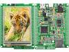 MIKROMEDIA FOR PIC32 Средство разработки: Microchip; PIC32MX460F512L