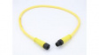 1200661037 Sensor Cables / Actuator Cables MICROCHG M12 DE 5P M/MFE 18AWG 4M TPE
