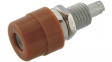 BIL 20 BRAUN / BROWN Socket diam. 4 mm Brown CAT I