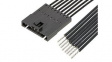 216273-1081 Cable Assembly, SL Plug - Pigtail, 8 Circuits, 100mm