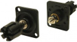 CP303010 Black XLR Recess Plate, 4mm Terminal Post 30 A Panel Mount/Countersunk Screw Hol