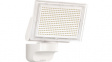 029746 Floodlight 20 W