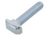 096HK1030M0840, Винт; для профилей; Ширина прорези:10мм; L:40мм; сталь; цинк, FATH