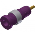 MSEB 2630 S1,9 Au violett / violet Safety socket diam. 2 mm violet
