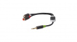 KNA22250E02 Audio cable 0.2 m Anthracite