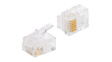 PCH66 Modular Plug, RJ12, 6 Contacts, 6 Positions