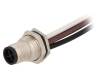 M12S-04PMMS-SF8B15 Гнездо; M12; PIN:4; "папа"; код S-Power; 0,15м; провода; IP67; 12А