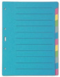461412 BIELLA register carton coloured A4 blank