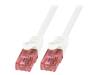 CQ2011U Patch cord; U/UTP; 6; многопров; Cu; LSZH; белый; 250мм; вилка RJ45