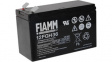 12FGH36 Lead-Acid Battery, 12 V 9 Ah