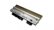 79804M Printhead, 300 dpi, Suitable for ZM600