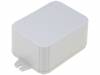 CP-6115-F Корпус: универсальный; Х:60мм; Y:80мм; Z:40мм; с креплениями; ABS