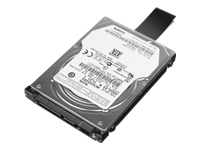 0A65636, Harddisk 2.5" SATA 3 Gb/s 320 GB 7200RPM, Lenovo