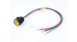 1300130353 Mini-Change A-Size Receptacle 4 Poles 1/2" - 14 NPT Threads Male (Straight) to 16 AWG Leads 0.305m (1.0') Length