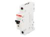 2CDS271001R0254, Выключатель максимального тока; 230ВAC; Iном:25А; Монтаж: DIN, ABB