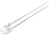 OSV4YL5451B LED; 5x4,1мм; фиолетовый; 55/30°; Поверхность: выпуклая; 30мА; 5мВт