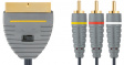 BVL5605 Video cable 5 m Blue