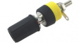 CL1575 Binding Post 2mm Black