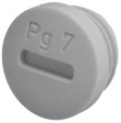 1029PG Blanking plug PG29