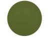 461X 30MIC SIC D127MM, Салфетки: микроабразивный материал; Цвет: зеленый; Кол-во шт:50, 3M