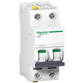 A9F08206, Circuit Breaker 6 A 2-pole type D, SCHNEIDER ELECTRIC