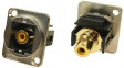 CP30232M XLR Feedthrough RCA Connector 2 FT Cable yellow