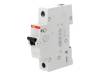 2CDS211001R0324, Выключатель максимального тока; 230ВAC; Iном:32А; Монтаж: DIN, ABB