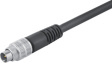 79 1413 12 05 Cable plug Poles 5 3 A 125 VAC/VDC
