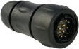 UTS6JC14E12P Coupling plug UTS Hi Seal Poles=12 Male Housing size14