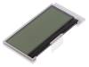 DEM 20489 FGH-PW, Дисплей: LCD; алфавитно-цифровой; COG, FSTN Positive; 20x4; LED, Display Elektronik