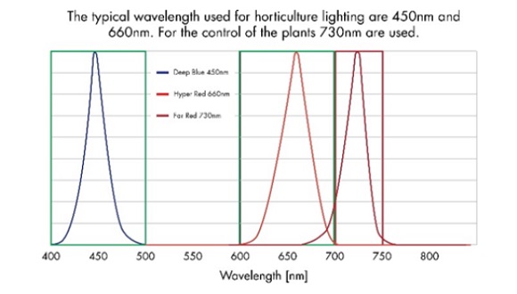 LED_3.jpg