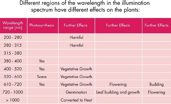 LED_4.jpg