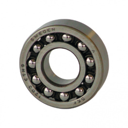 1200 ETN9, Radial pendulum ball bearing 30 mm, SKF